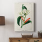 Turpin Tropical Botanicals IX - Canvas Art Print