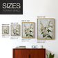Floral Study Series LXXXVII - Restickable Framed Art Set