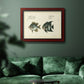 Bloch Antique Fish II Premium Framed Canvas- Ready to Hang