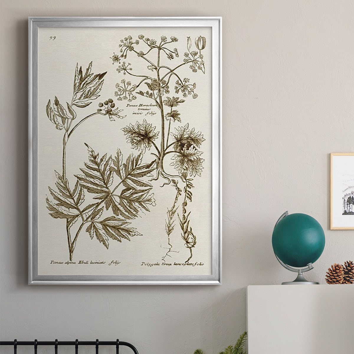 Sepia Botanical Journal III - Modern Framed Canvas Print