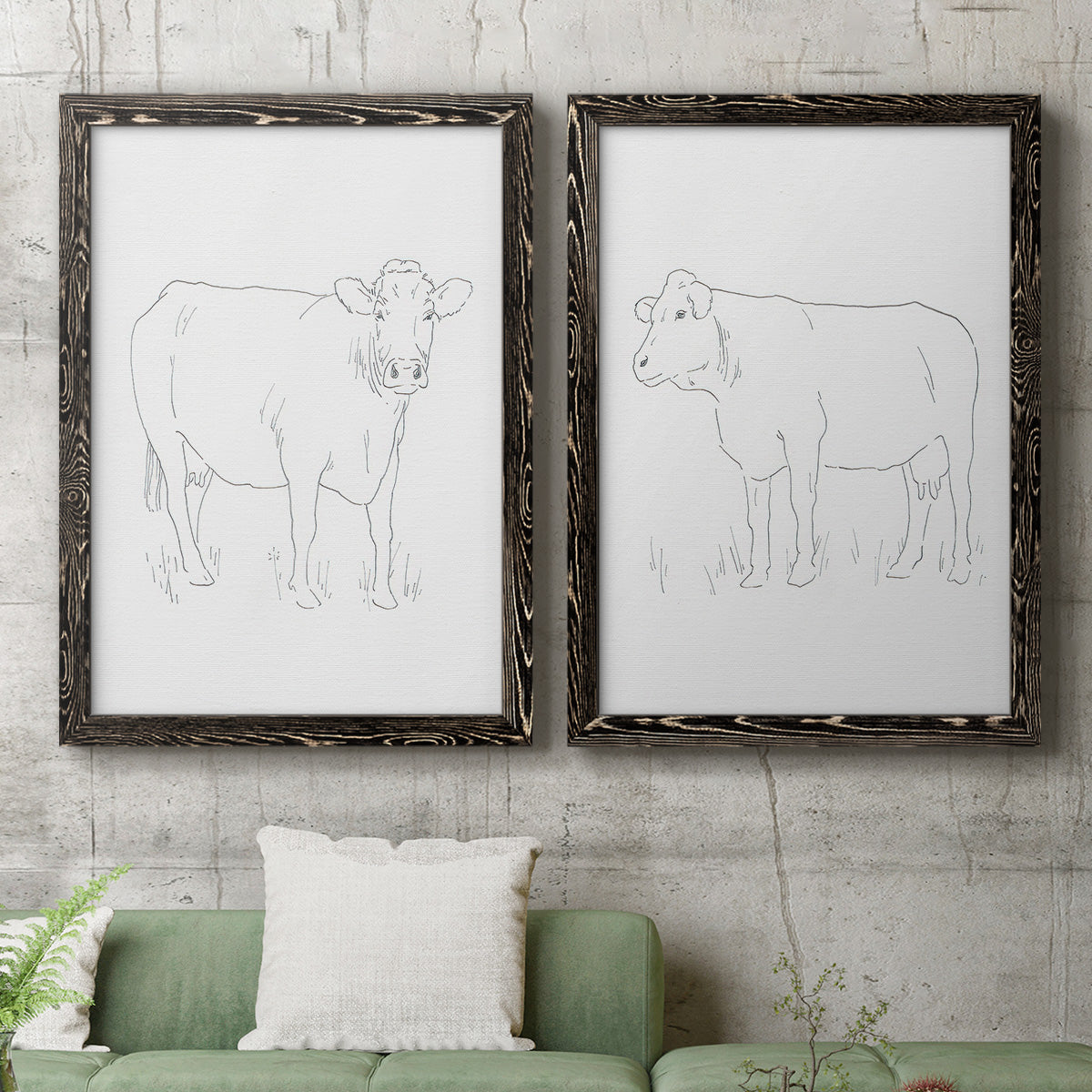 Set of two black barnwood framed canvas prints depicting a coordinated art pair of simple contour drawings of standing cows rendered as minimalist livestock sketches above a sofa in a modern living room.
