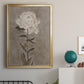 Pretty As A Peony I - Modern Framed Canvas Print