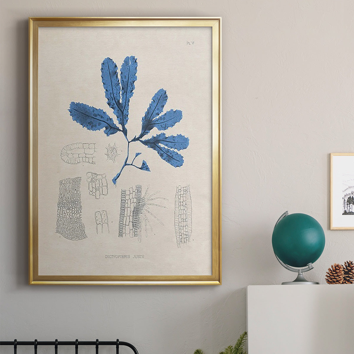 Blue Marine Algae VII - Modern Framed Canvas Print