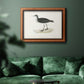 Morris Sandpipers VIII Premium Framed Canvas- Ready to Hang