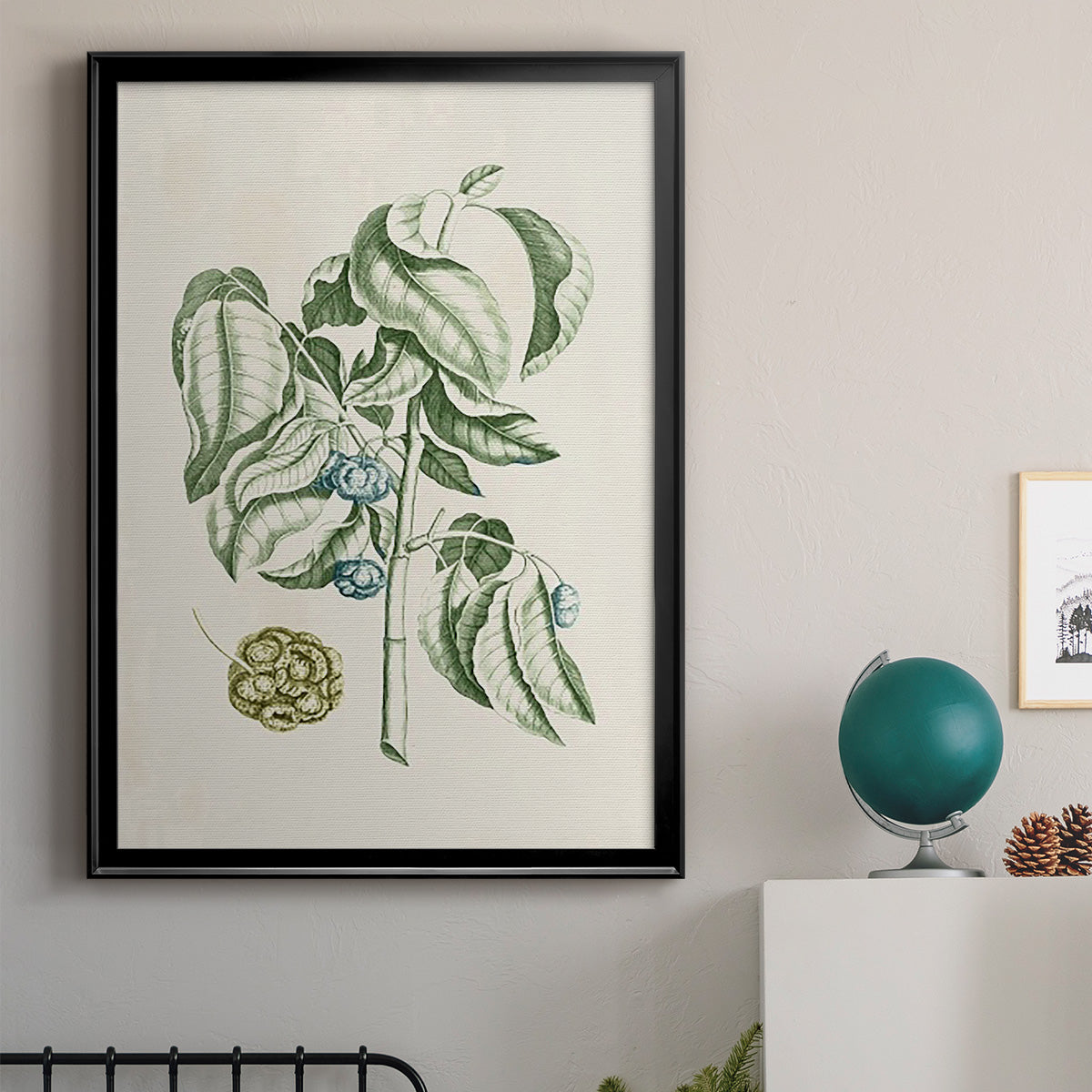 Buchoz Tropicals V - Modern Framed Canvas Print