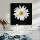 Delicate Daisy I - Canvas Art Print