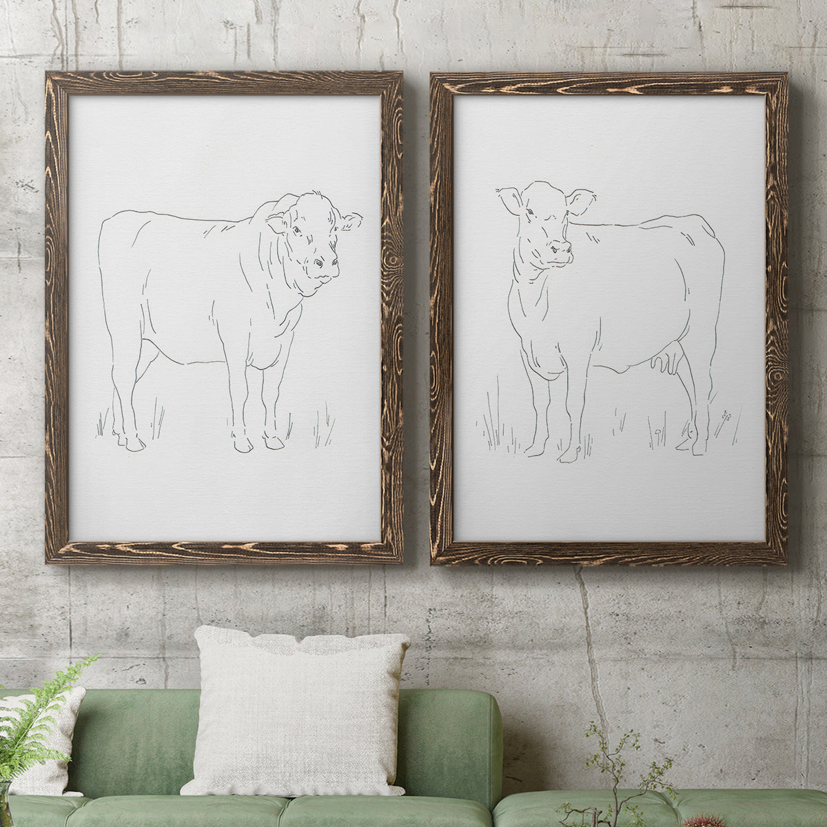 Set of two walnut barnwood framed canvas prints depicting a coordinated art pair of simple contour drawings of standing cows rendered as minimalist livestock sketches above a sofa in a modern living room.