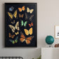 Collected Flutter III - Modern Framed Canvas Print