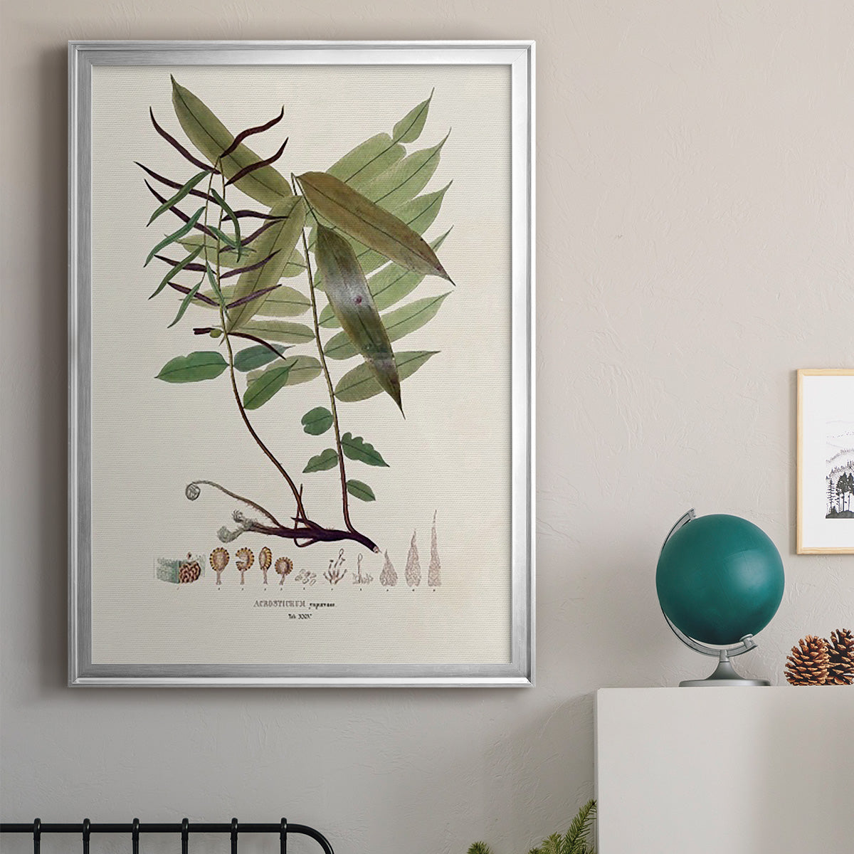 Botanical Society Ferns VI - Modern Framed Canvas Print