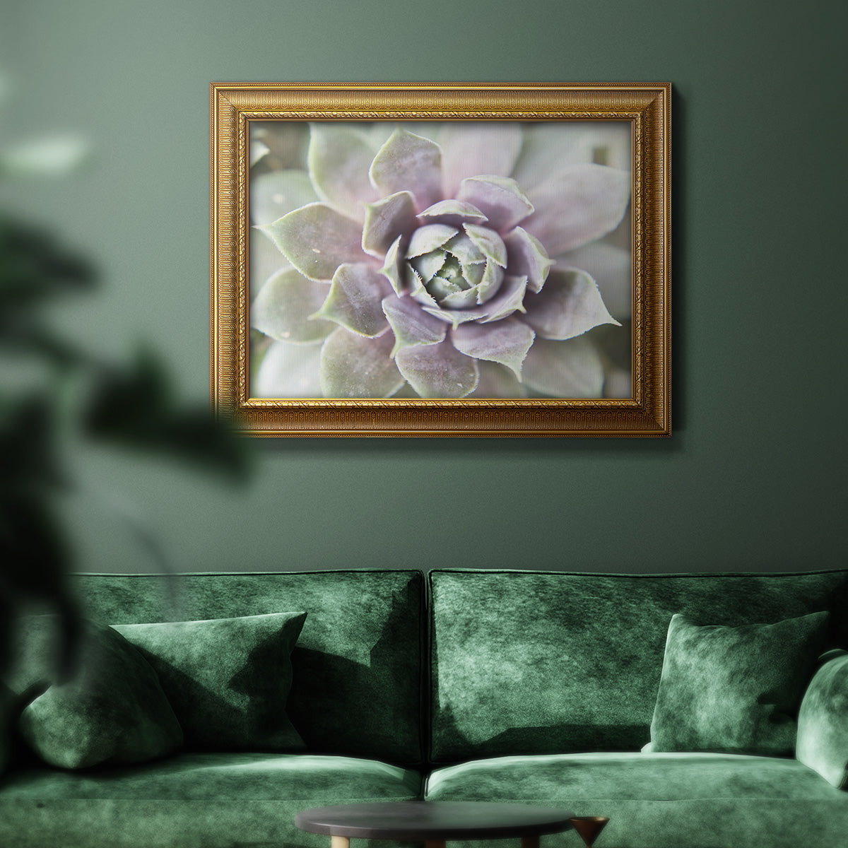 Succulent Glow II - Ornate Framed Canvas Print