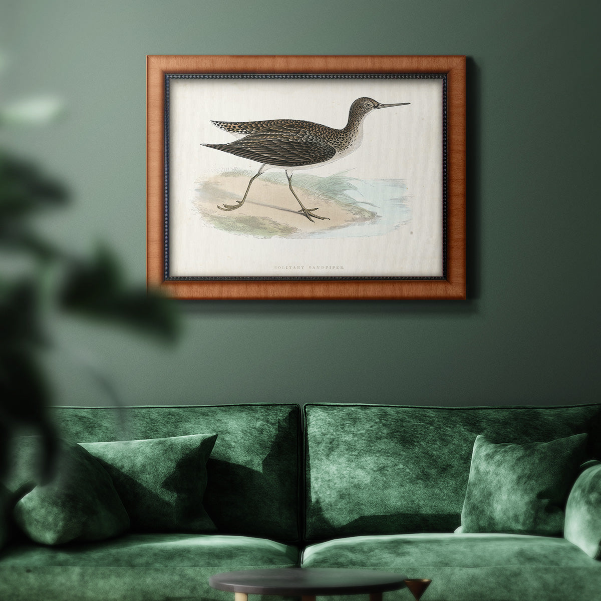 Morris Sandpipers VII Premium Framed Canvas- Ready to Hang