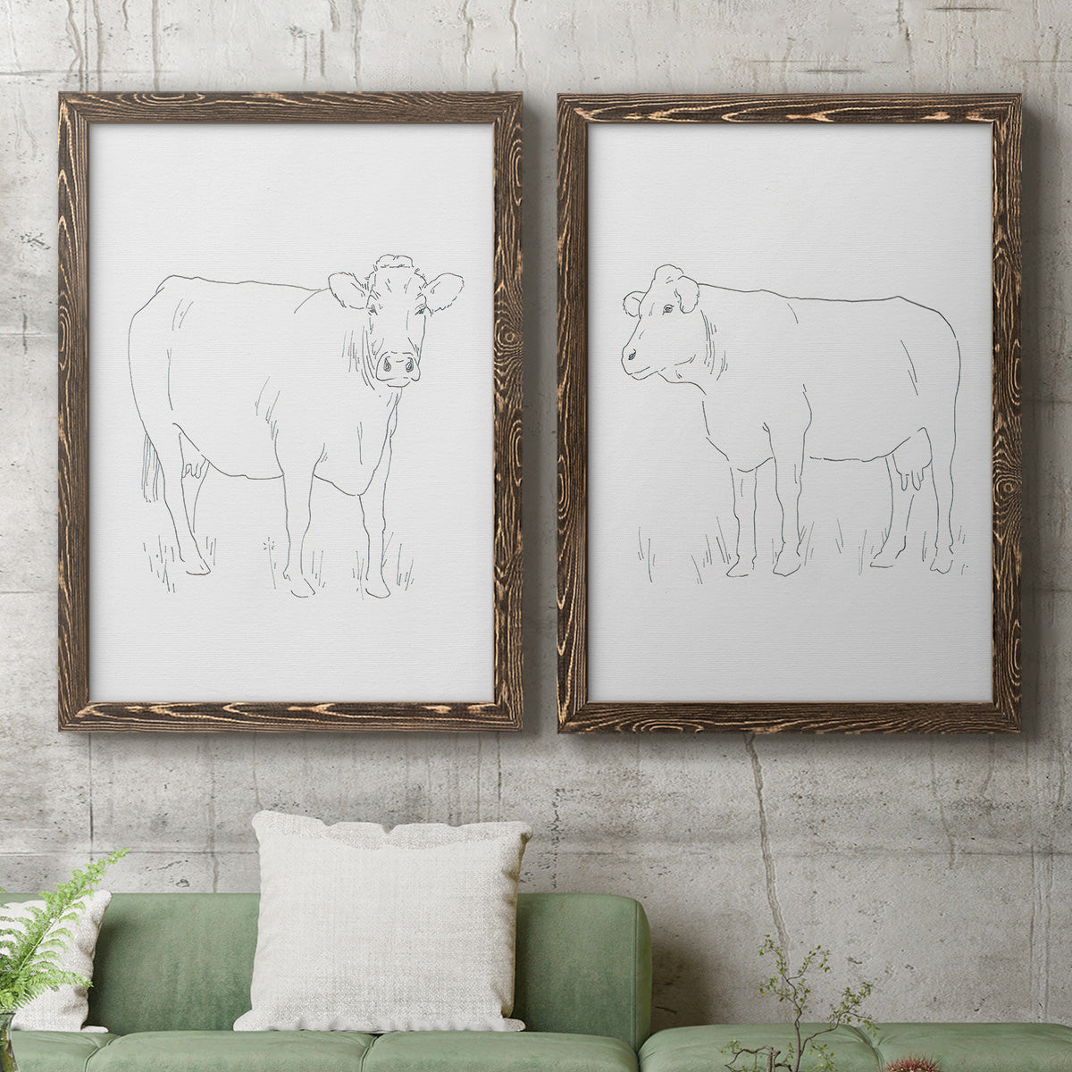Set of two walnut barnwood framed canvas prints depicting a coordinated art pair of simple contour drawings of standing cows rendered as minimalist livestock sketches above a sofa in a modern living room.