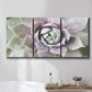 Three-panel canvas wall art featuring close up succulent photography, displayed in a bathroom above a bathtub.