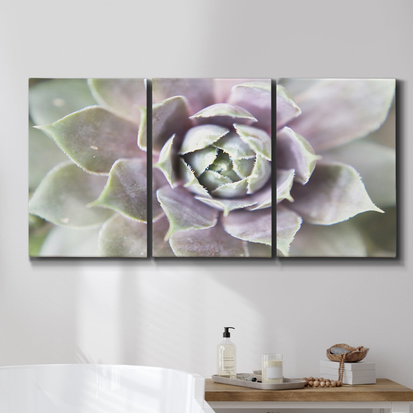 Three-panel canvas wall art featuring close up succulent photography, displayed in a bathroom above a bathtub.