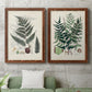 Set of two maple barnwood framed canvas prints depicting a coordinated art pair of vintage fern specimens with botanical details rendered as natural-history fern plates above a sofa in a modern living room.