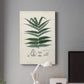 Collected Ferns IX Premium Gallery Wrapped Canvas - Ready to Hang