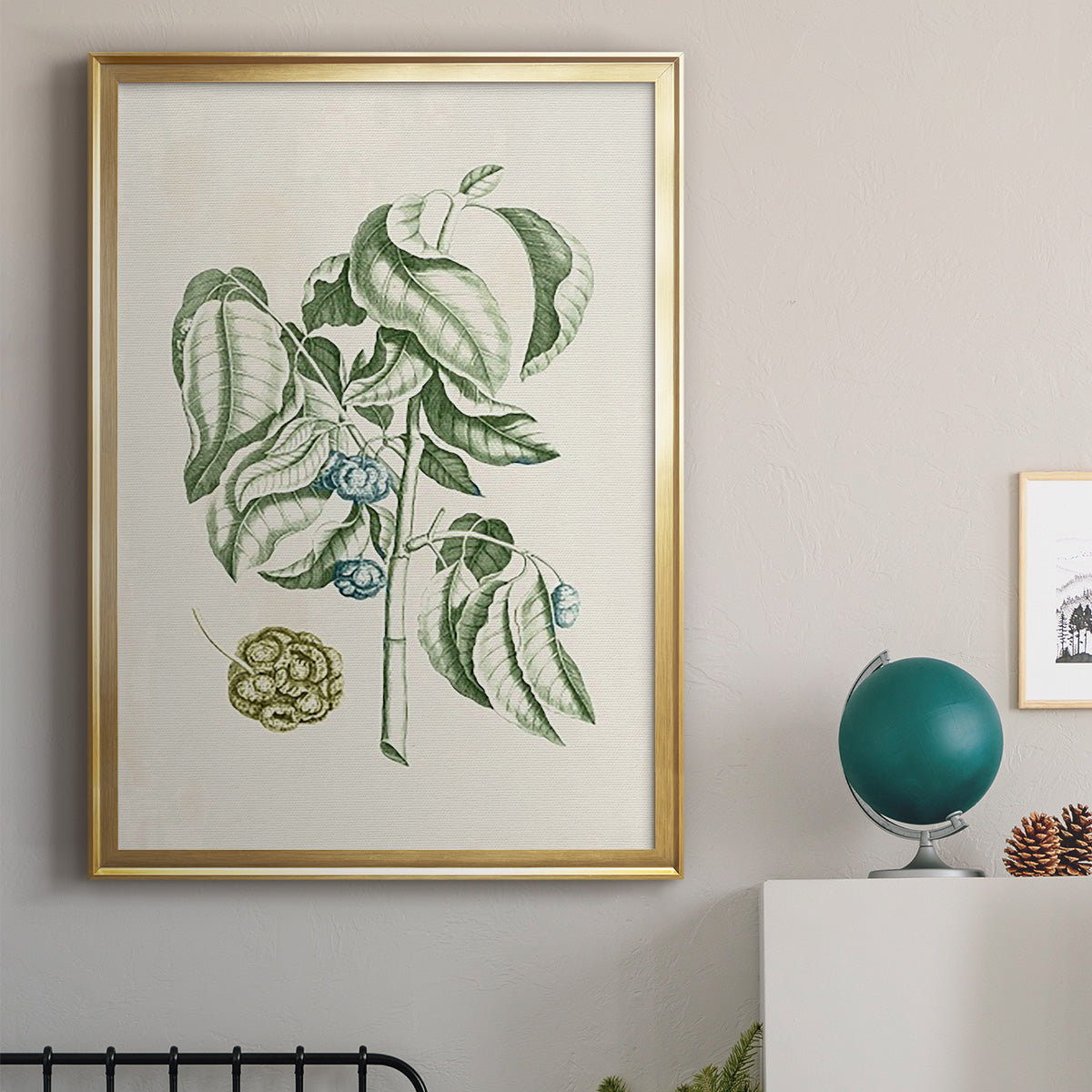 Buchoz Tropicals V - Modern Framed Canvas Print