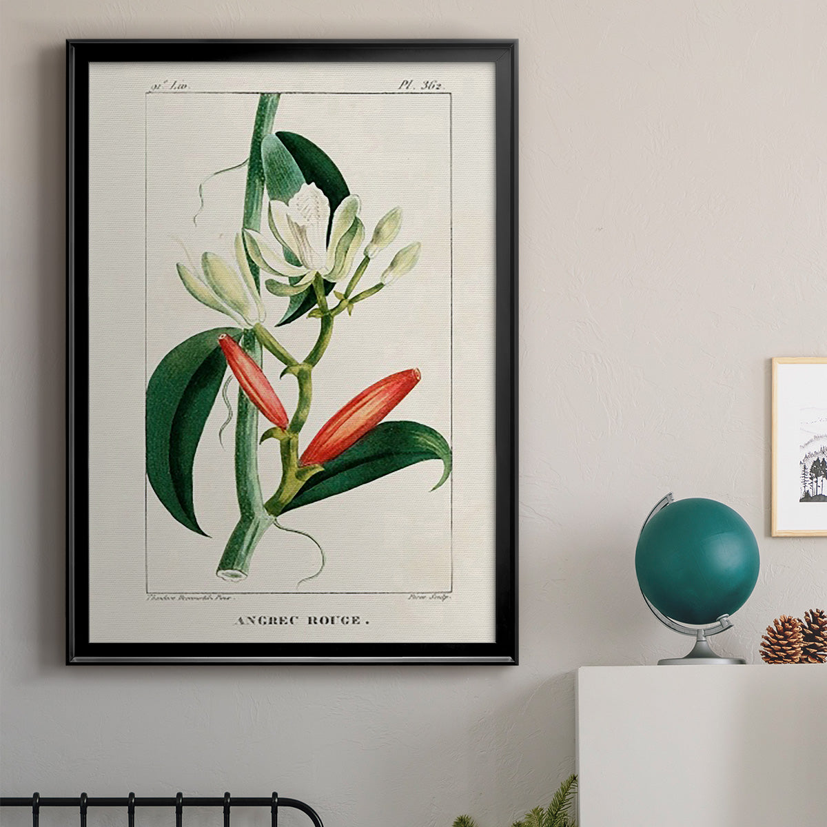 Turpin Tropical Botanicals IX - Modern Framed Canvas Print