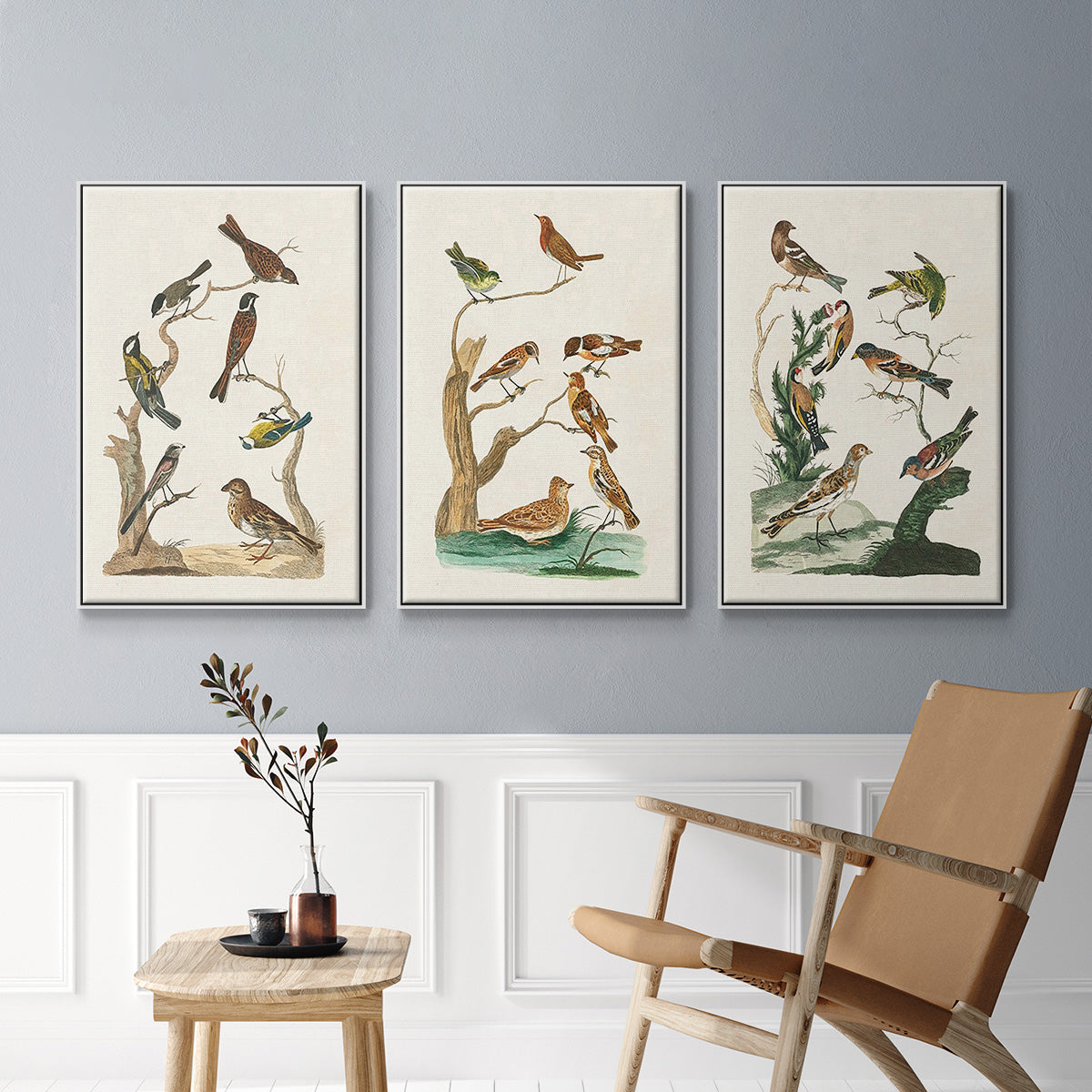 Antique Birds in Nature I - Framed Premium Gallery Wrapped Canvas L Frame 3 Piece Set - Ready to Hang