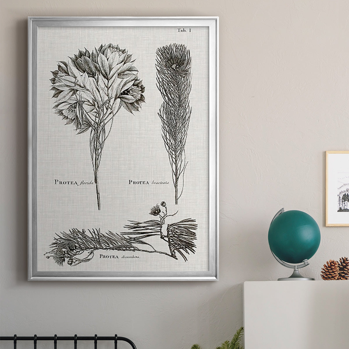 Black & White Protea on Linen I - Modern Framed Canvas Print