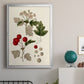 Leaves & Berries III - Modern Framed Canvas Print