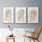 Greek Busts IV - Framed Premium Gallery Wrapped Canvas L Frame 3 Piece Set - Ready to Hang