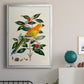 Bird in Habitat V - Modern Framed Canvas Print