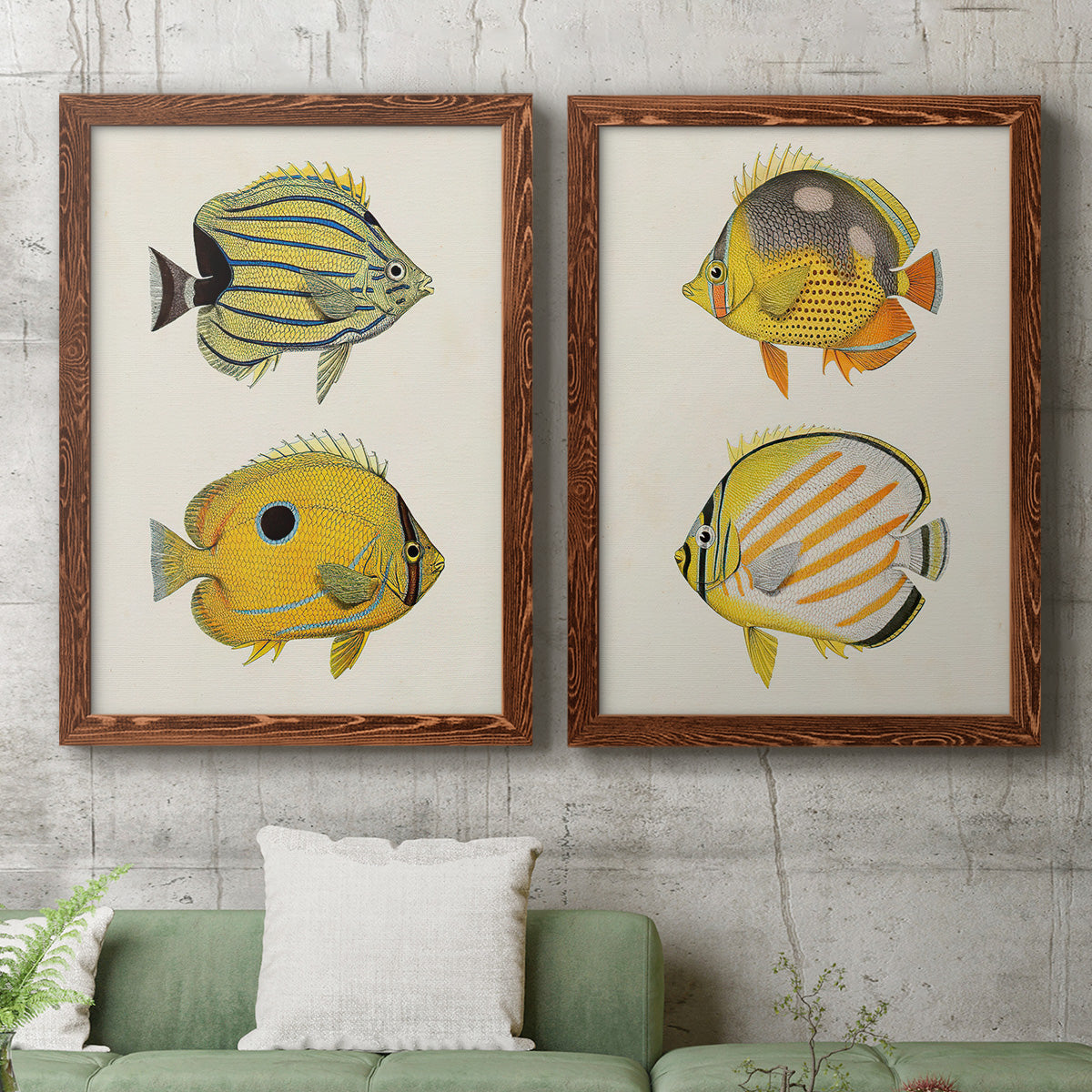 Yellow & Grey Fish III - Premium Framed Canvas 2 Piece Set - Ready to Hang