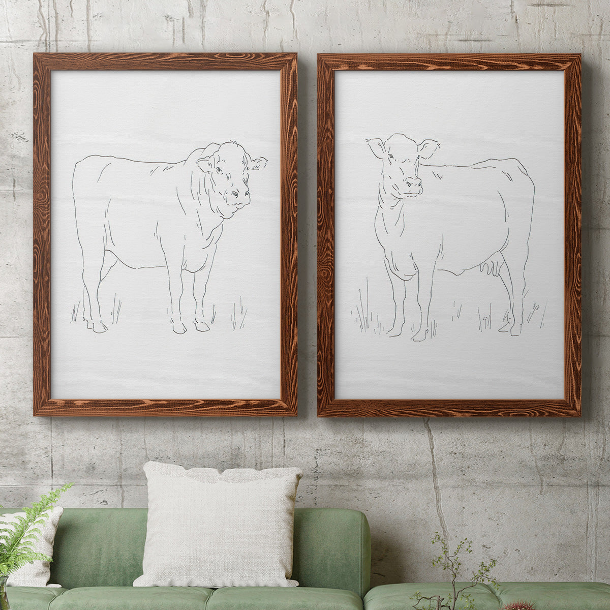Set of two maple barnwood framed canvas prints depicting a coordinated art pair of simple contour drawings of standing cows rendered as minimalist livestock sketches above a sofa in a modern living room.