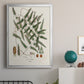 Botanical Society Ferns X - Modern Framed Canvas Print