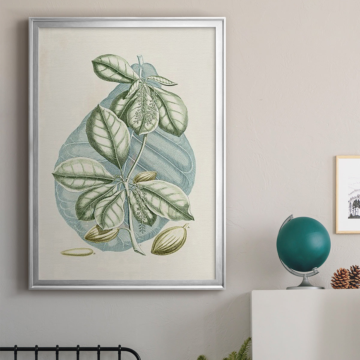 Buchoz Tropicals VI - Modern Framed Canvas Print