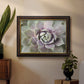 Succulent Glow II - Ornate Framed Canvas Print