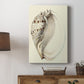 Splendid Shells I Premium Gallery Wrapped Canvas - Ready to Hang