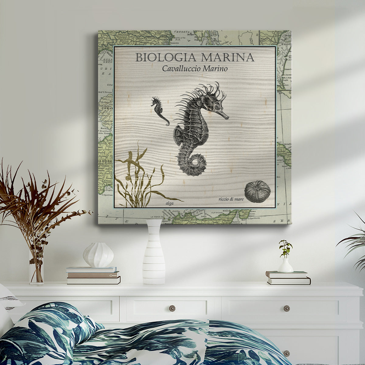 Biologia Marina III-Premium Gallery Wrapped Canvas - Ready to Hang