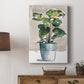 Potted Houseplant II - Canvas Art Print