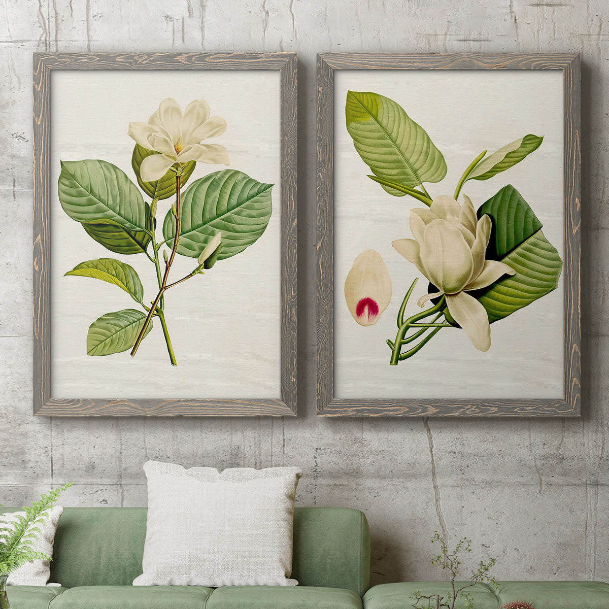 Set of two gray barnwood framed canvas prints depicting a coordinated art pair of white magnolia blossoms and glossy green leaves rendered as traditional botanical paintings above a sofa in a modern living room.