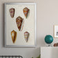 Cone Shell Collection VI - Modern Framed Canvas Print