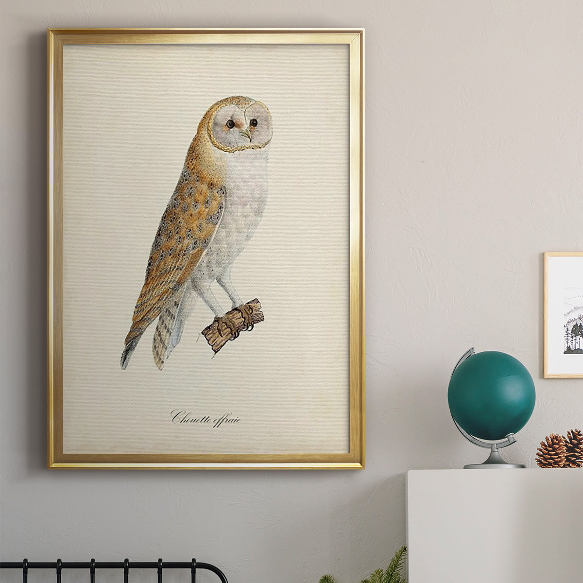 French Owls VI - Modern Framed Canvas Print