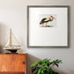 Odd Crane Premium Framed Print Double Matboard