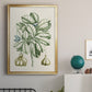 Buchoz Tropicals IX - Modern Framed Canvas Print