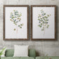 Eucalyptus I   - Premium Framed Canvas 2 Piece Set - Ready to Hang