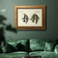 Bloch Antique Fish I Premium Framed Canvas- Ready to Hang