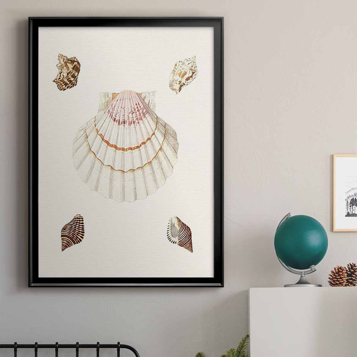 Pastel Knorr Shells IV - Modern Framed Canvas Print