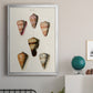 Cone Shell Collection IV - Modern Framed Canvas Print