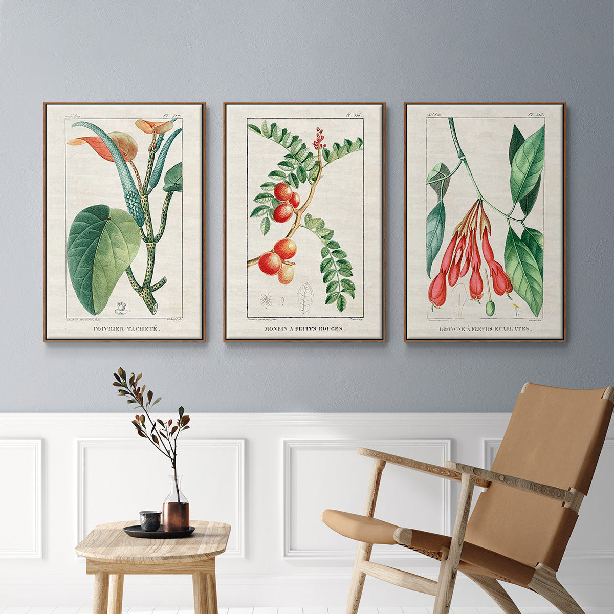 Turpin Tropical Botanicals I - Floater Framed Canvas Set