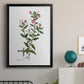 Rose Botanical III - Modern Framed Canvas Print