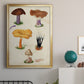 Mushroom Species VII - Modern Framed Canvas Print