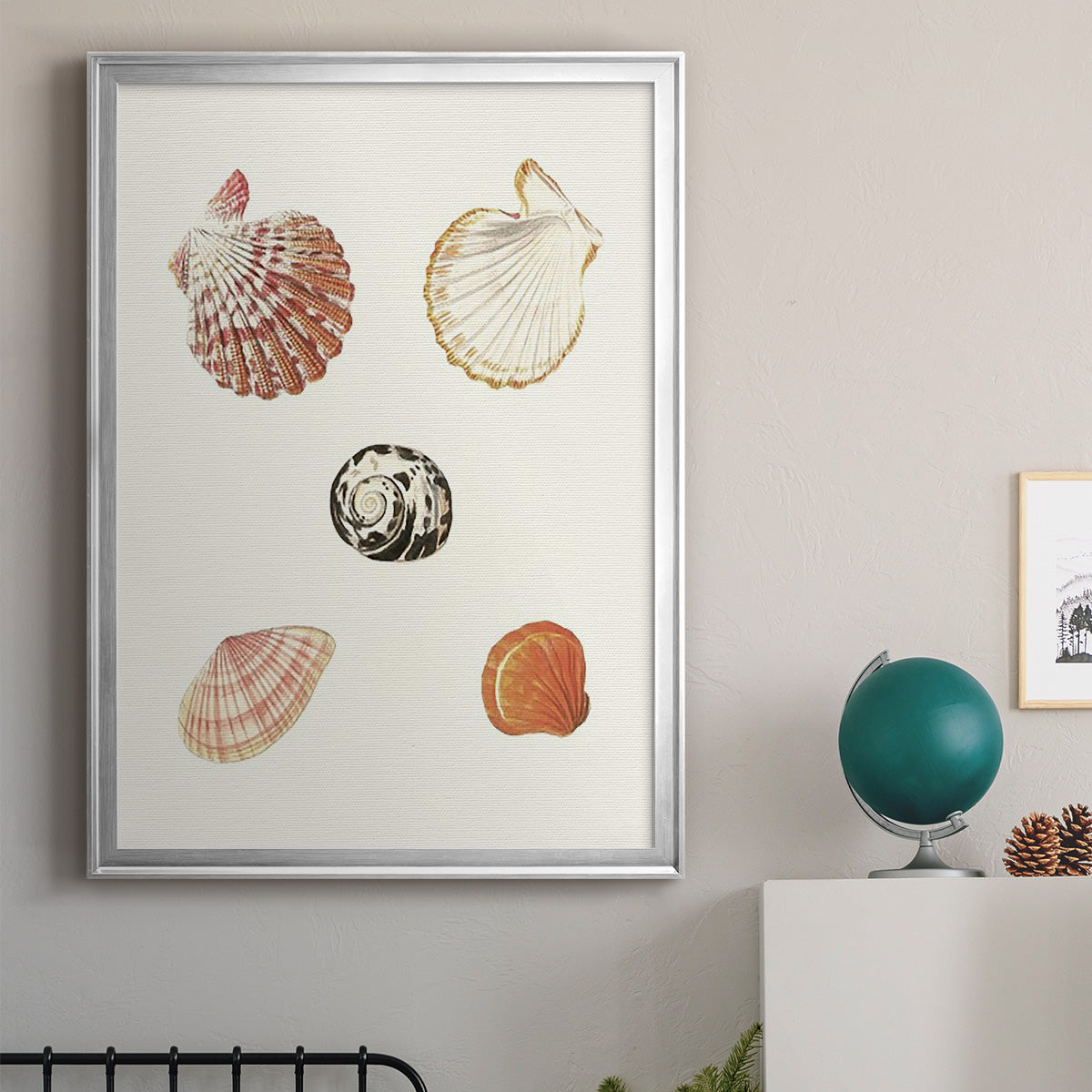 Pastel Knorr Shells VIII - Modern Framed Canvas Print