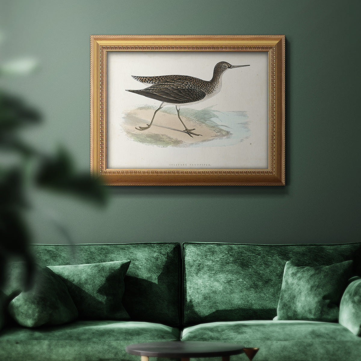 Morris Sandpipers VII Premium Framed Canvas- Ready to Hang