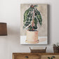 Potted Houseplant I - Canvas Art Print